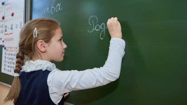 В МОН ответили на критику о неорганизованности учебного процесса
