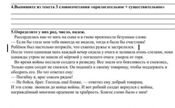 Задание по СОР «Ребенок схватил ружье и застрелился» пятиклассникам дали задание в Алматы