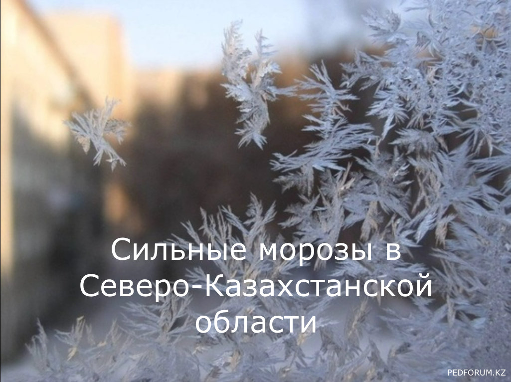 Сильные морозы в Северо-Казахстанской области